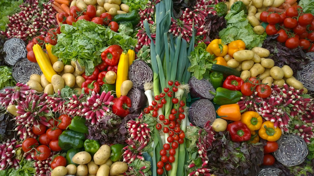 Nutrientes esenciales y vitaminas
